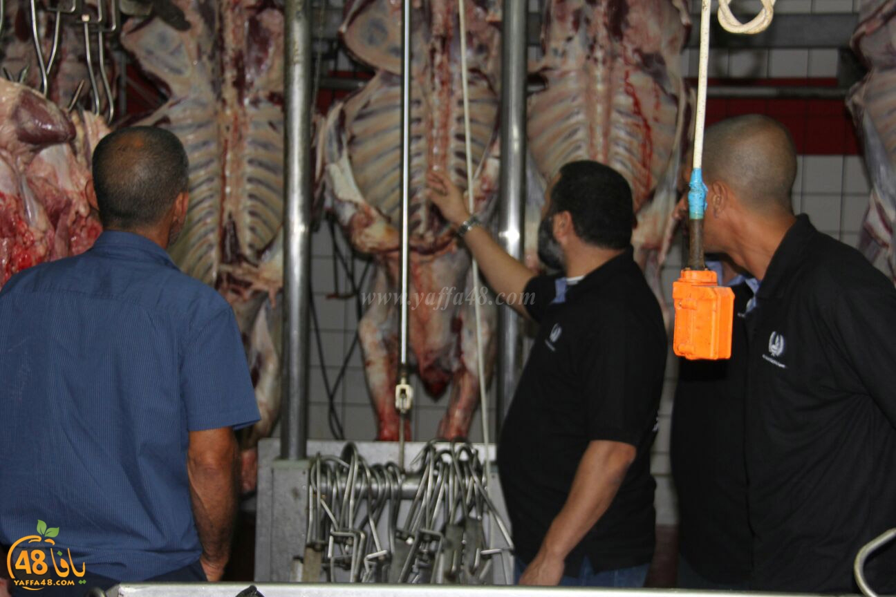 jam3iya yaffa 3ojolej (19).jpg